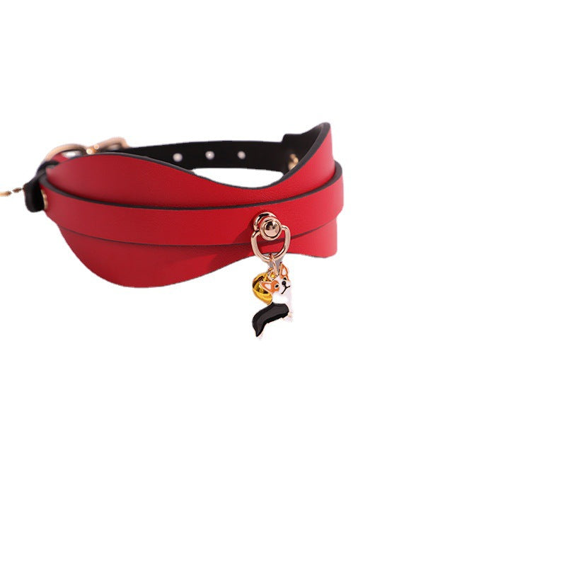 Corgi Collar