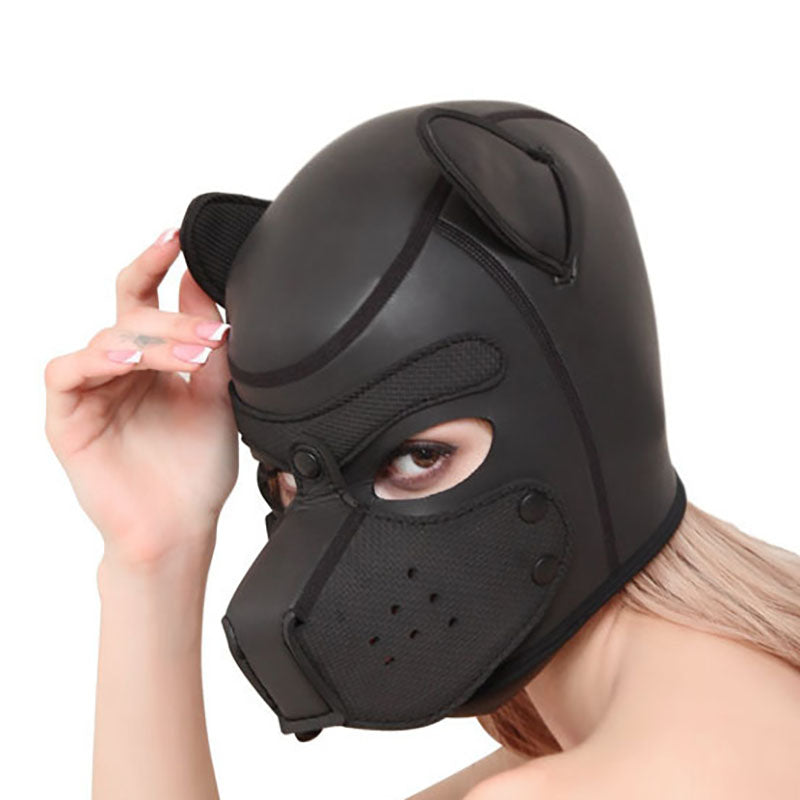 Dog head cover
